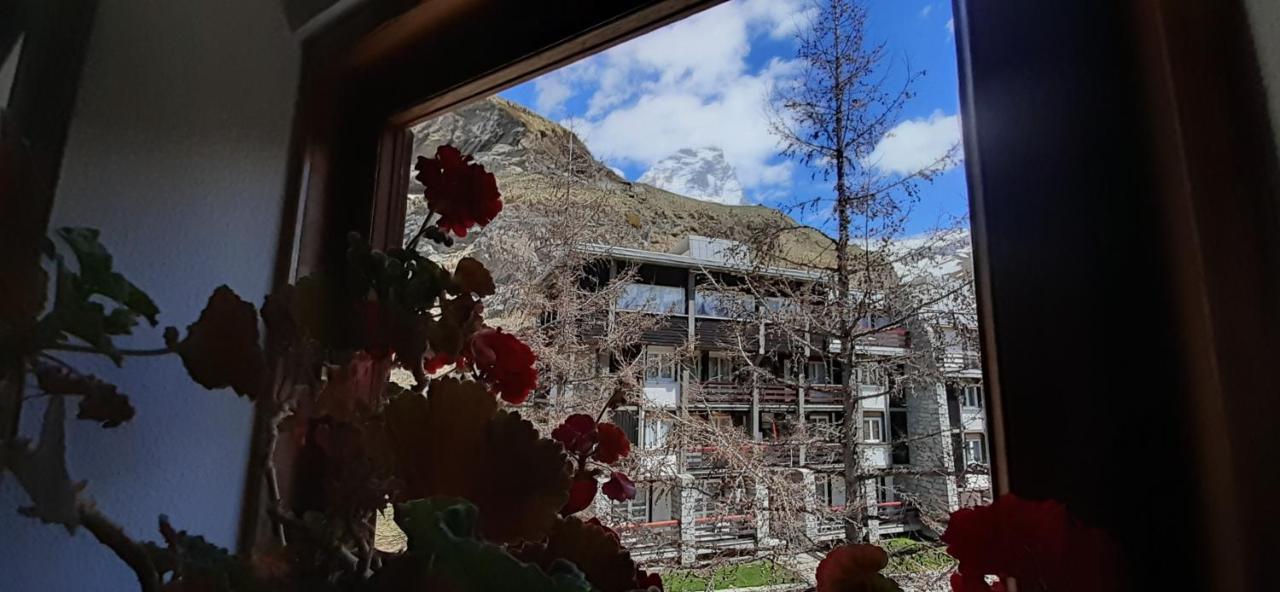 Matterhorn Studio Cervinia Breuil-Cervinia Eksteriør bilde